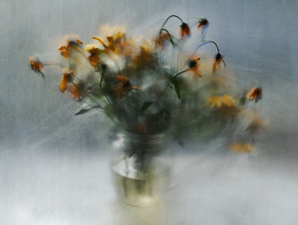 Dreamy Fading Flowers by Ala Pneuma — canvas wall art