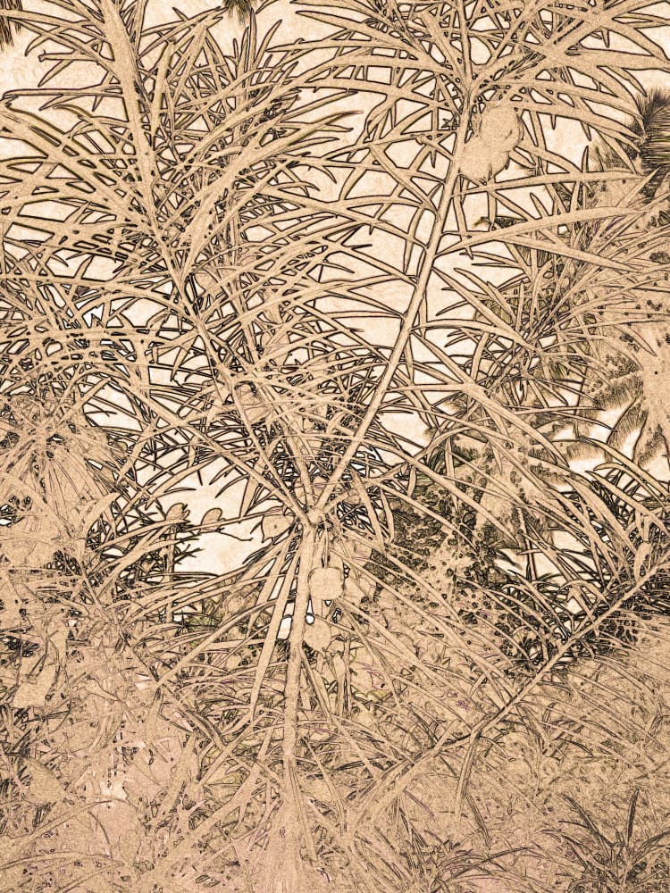 Intricate Sepia Leaves by Santhosh ch — canvas wall art