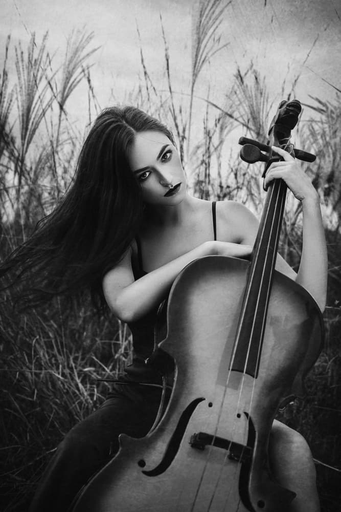 Moody Cello Portrait by Djayent Abdillah — canvas wall art