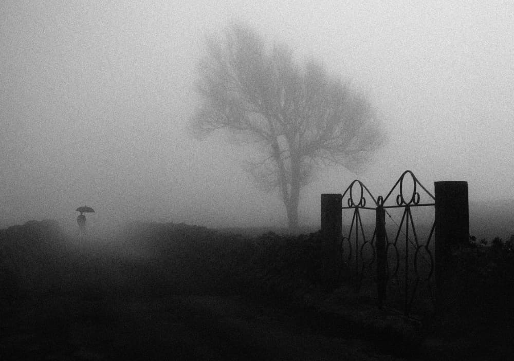 Solitary Figure in Fog by Paulo Medeiros — canvas wall art