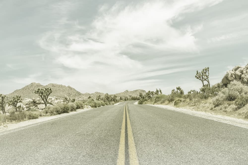 Long Desert Road by Melanie Viola — canvas wall art