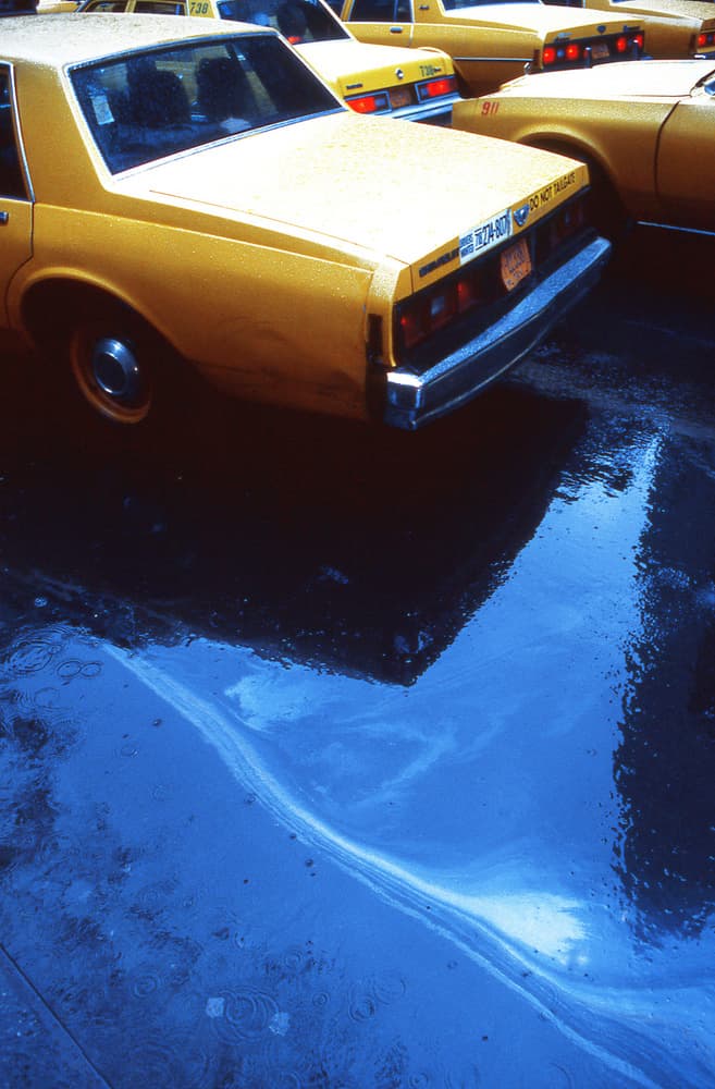 Wet City Taxis by Dieter Matthes — canvas wall art