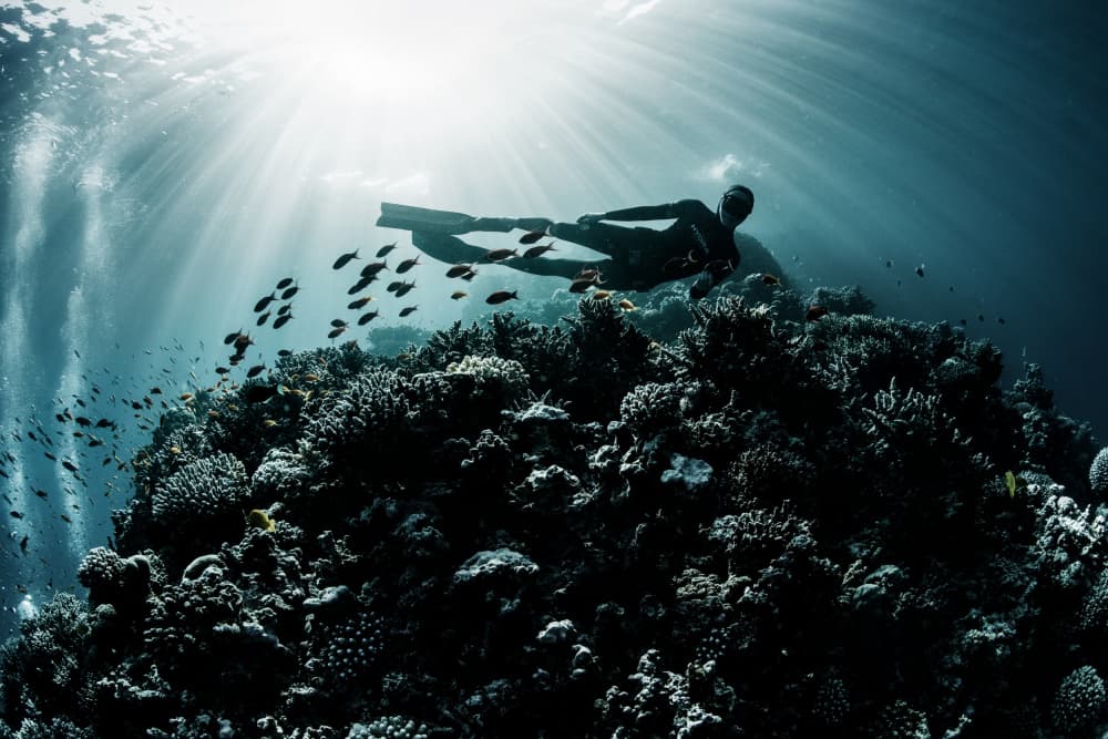 Freediver Over Coral Reef by Andrey Narchuk — canvas wall art