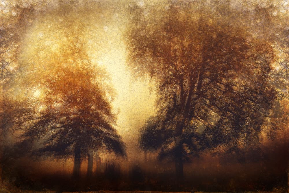 Golden Misty Trees by Gustav Davidsson — canvas wall art