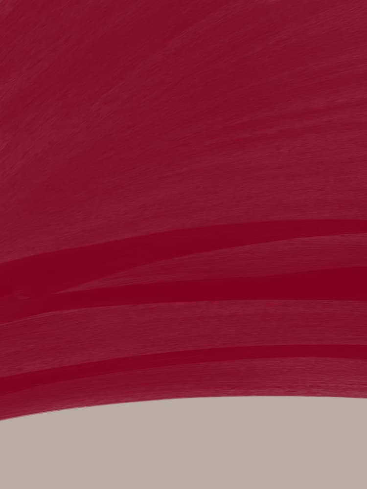 Maroon Color Field by Studio Palette — canvas wall art