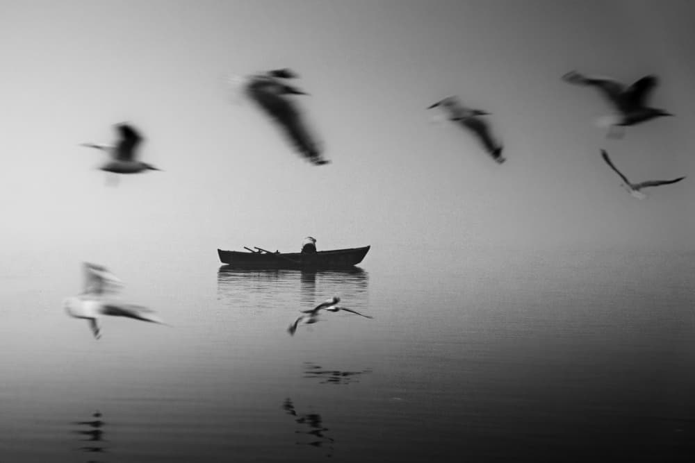 Peaceful Boat And Birds by Rahul Wedpathak — canvas wall art