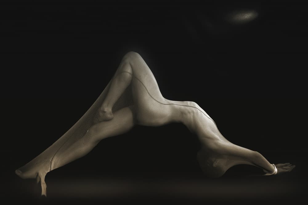 Graceful Feminine Form by Christine von Diepenbroek — canvas wall art