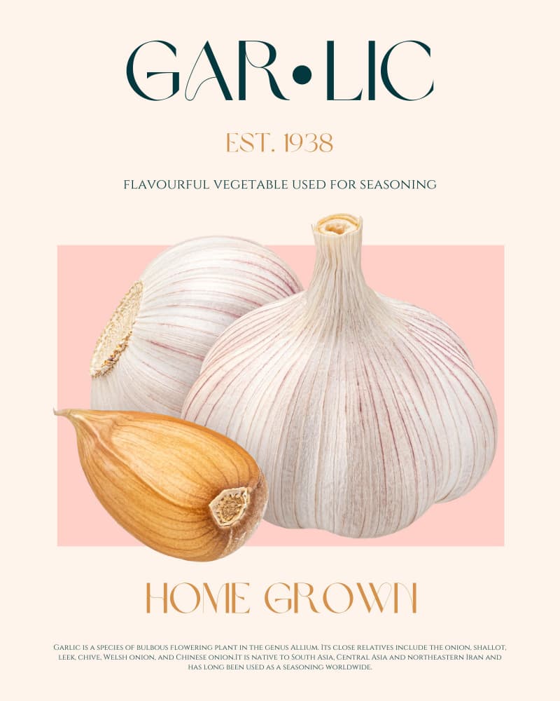 Fresh Homegrown Garlic by Nazma Khokhar — canvas wall art