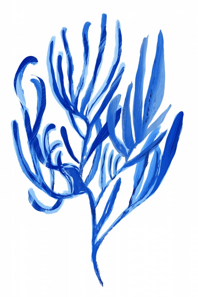 Abstract Blue Coral by cartissi — canvas wall art
