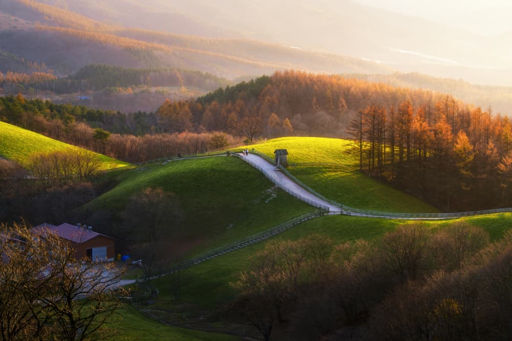 Golden Rolling Hills by Tiger Seo — canvas wall art
