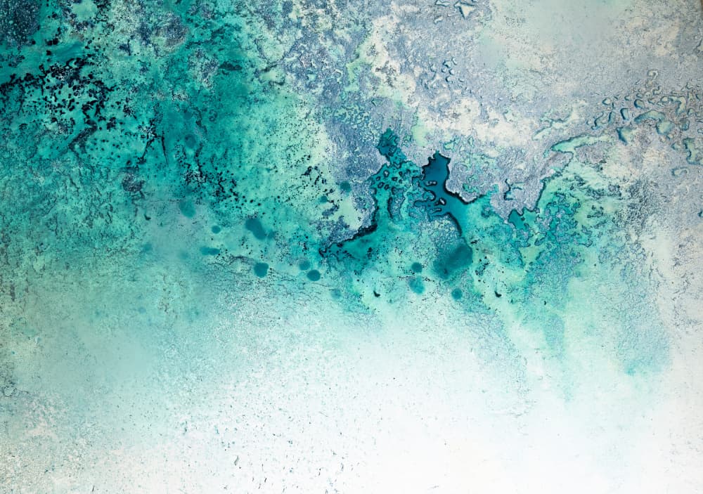 Turquoise Whispering