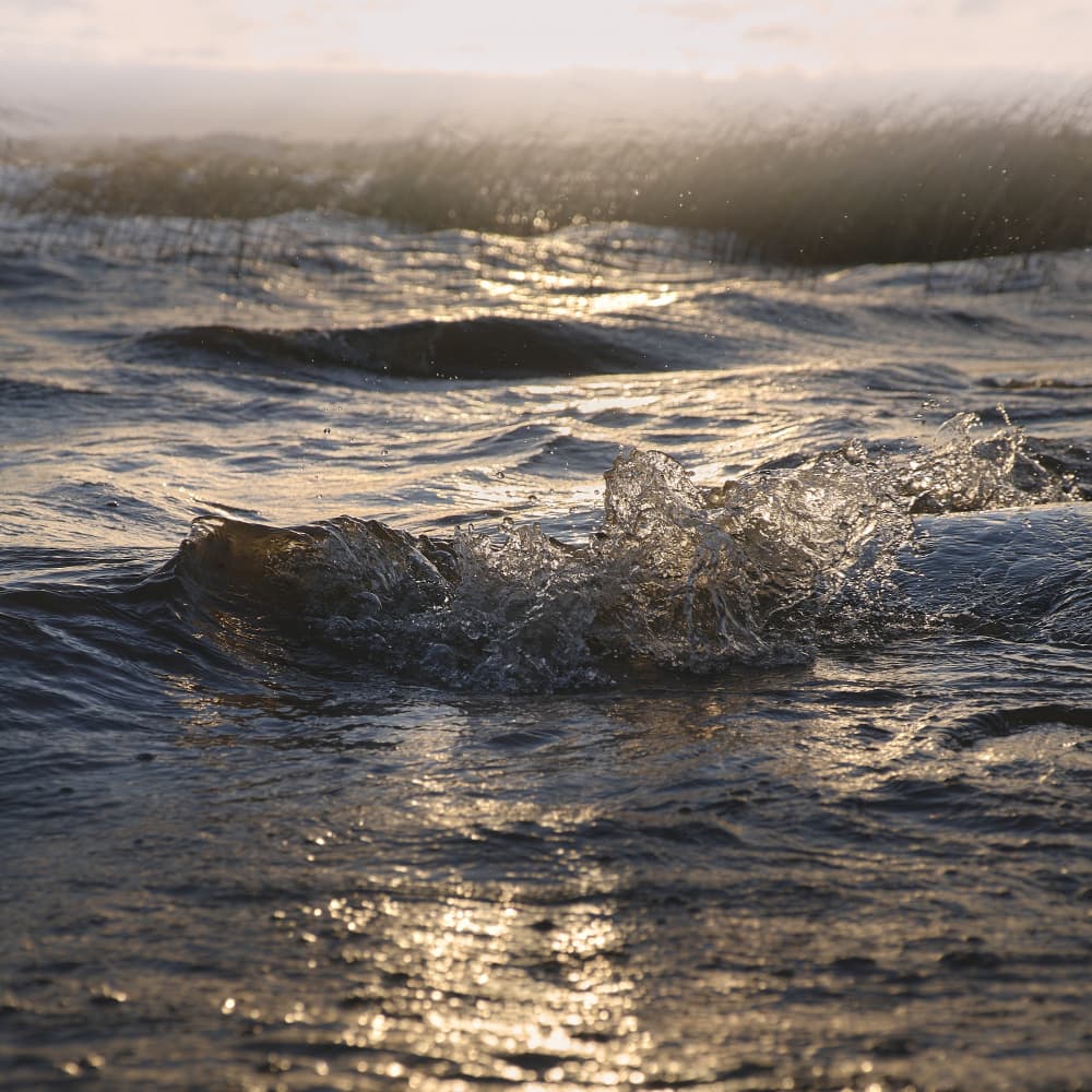 Golden Hour Waves by Hamed Bank — canvas wall art