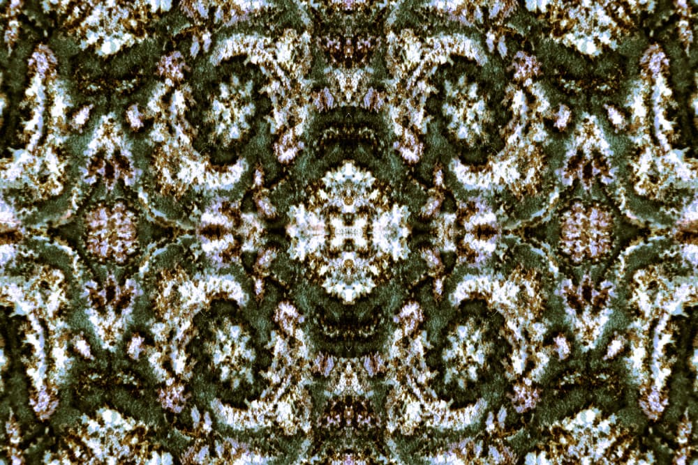 Dark Green Ornate Pattern by Christina Sillen — canvas wall art