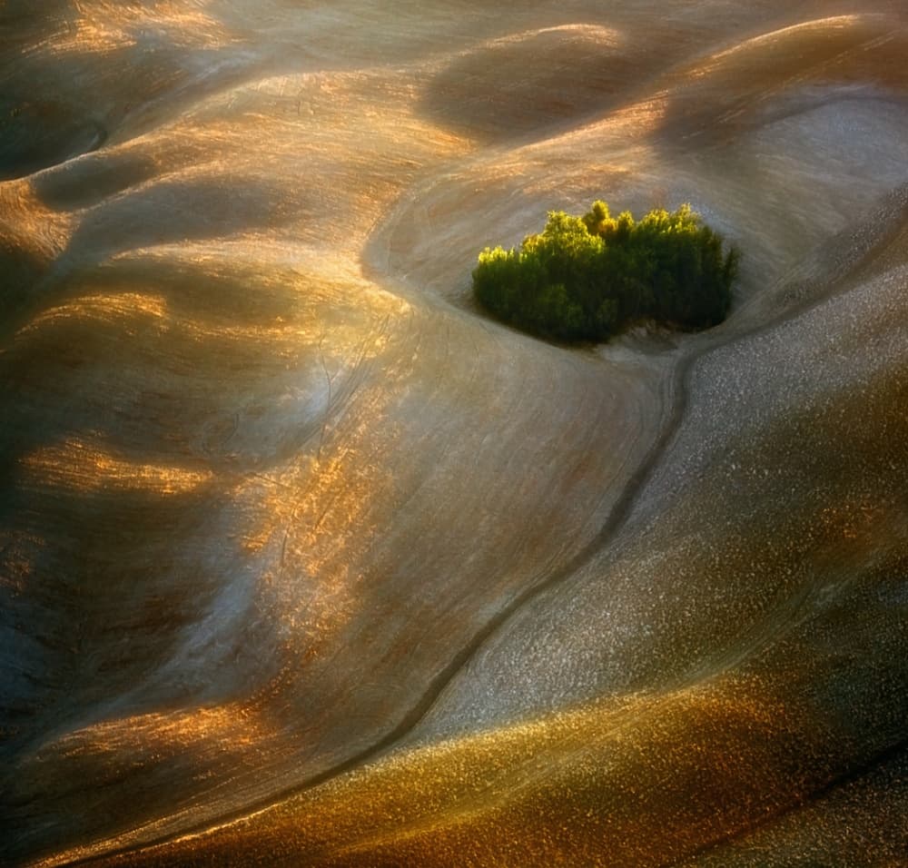 Sunlit Rolling Hills by Krzysztof Browko — canvas wall art