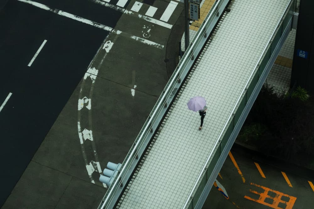 Purple Umbrella Walker by Haruyo Sakamoto — canvas wall art