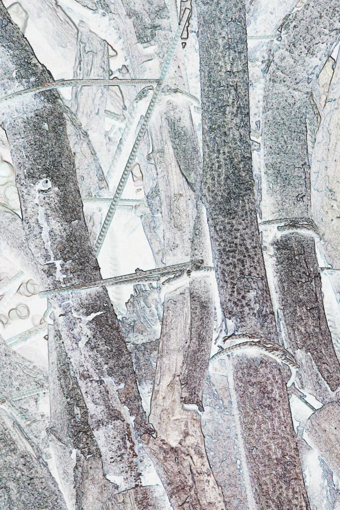 Serene Bamboo Stalks by Santhosh ch — canvas wall art