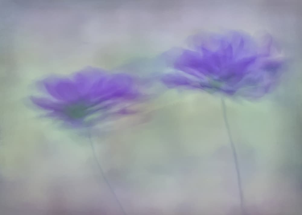 Dreamy Lavender Flowers by Lucie Gagnon — canvas wall art