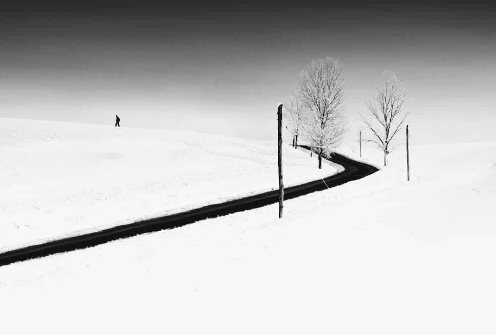 Monochrome Winter Solitude by Catalin Alexandru — canvas wall art