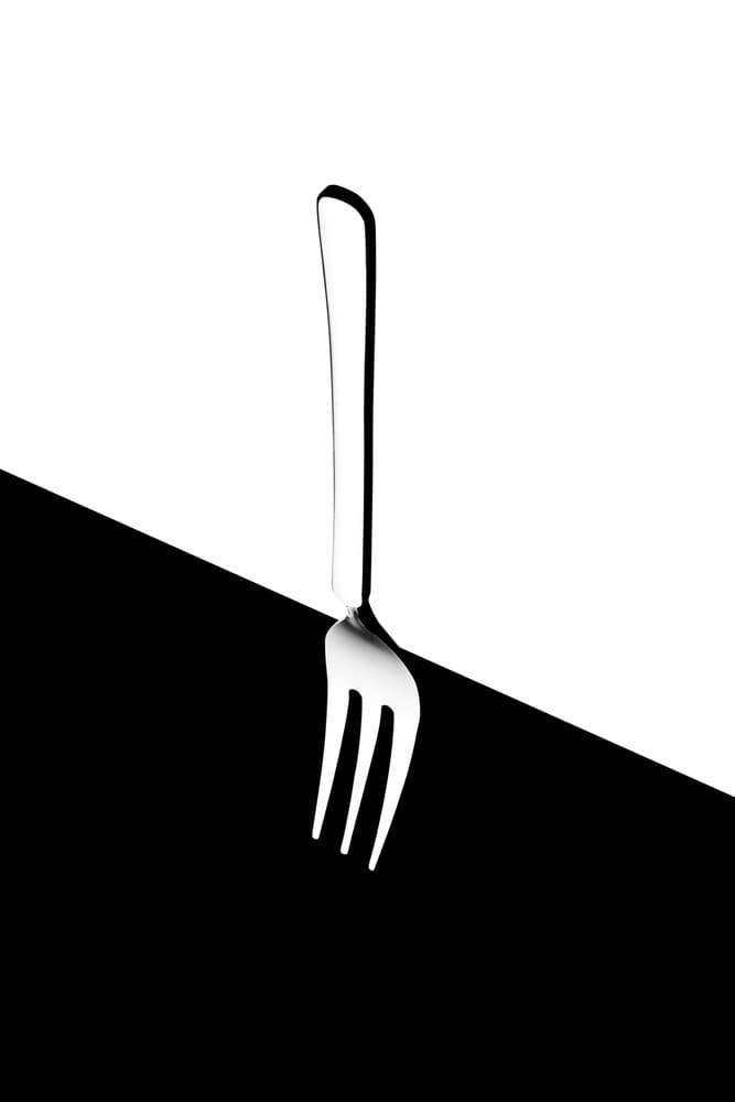 Minimalist Fork Contrast by Naoki Matsumura — canvas wall art