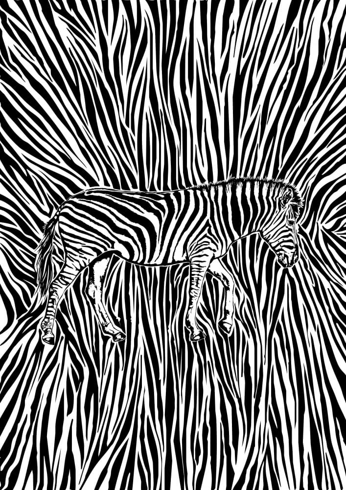 Zebra in Stripes by Carlo Kaminski — canvas wall art