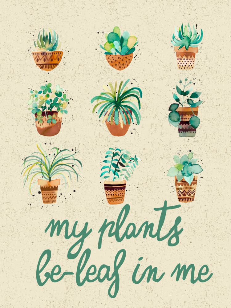 My Plants Be-Leaf by Ninola Design — canvas wall art