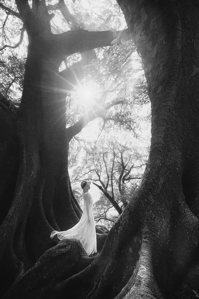 Ethereal Forest Woman by TIANQI — canvas wall art