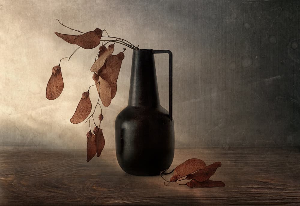 Black Vase Dried Pods by Elena Arjona — canvas wall art