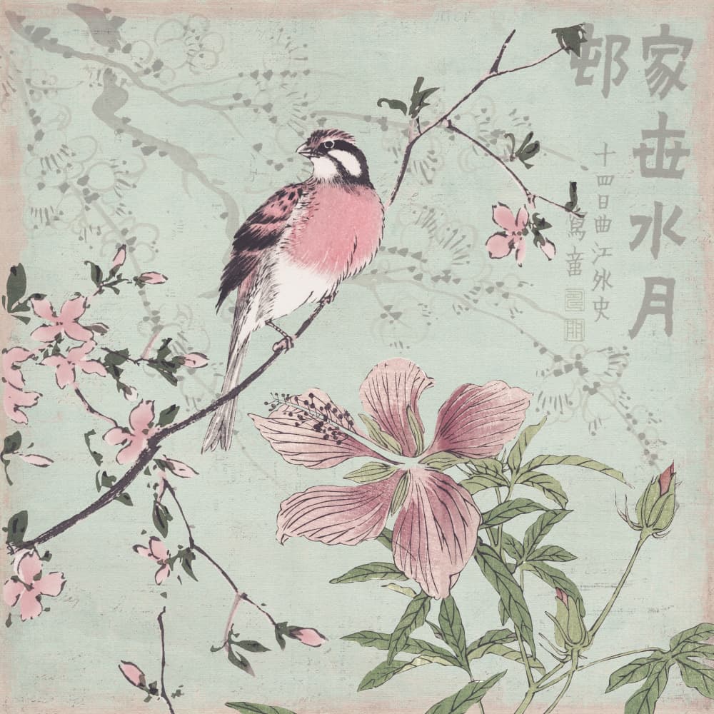 Pink Bird Cherry Blossoms by Andrea Haase — canvas wall art