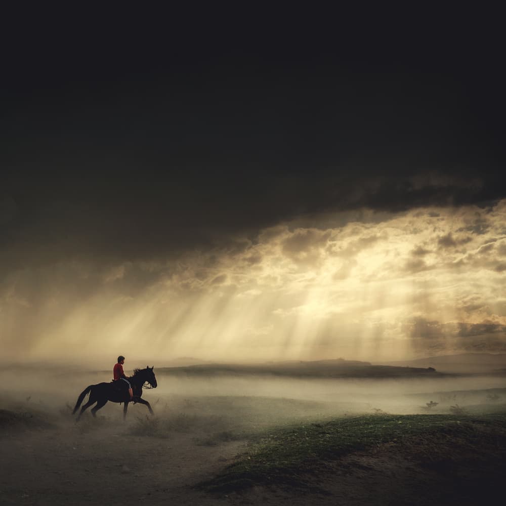 Golden Light Horse Ride by Hüseyin Taşkın — canvas wall art
