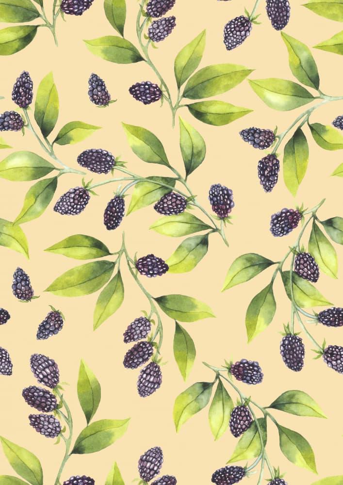 Watercolor Blackberry Vines by Linda Sitniece — canvas wall art