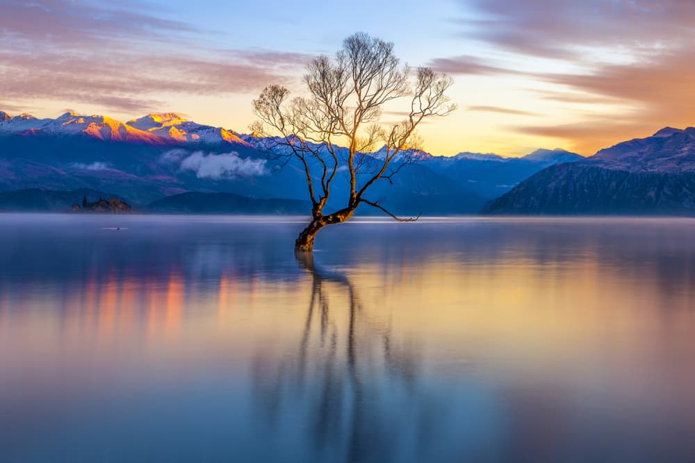 Serene Mountain Lake Tree by Jianping Yang — canvas wall art