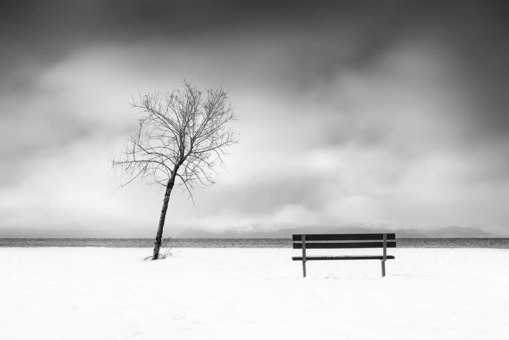 Winter Solitude Bench by George Digalakis — canvas wall art