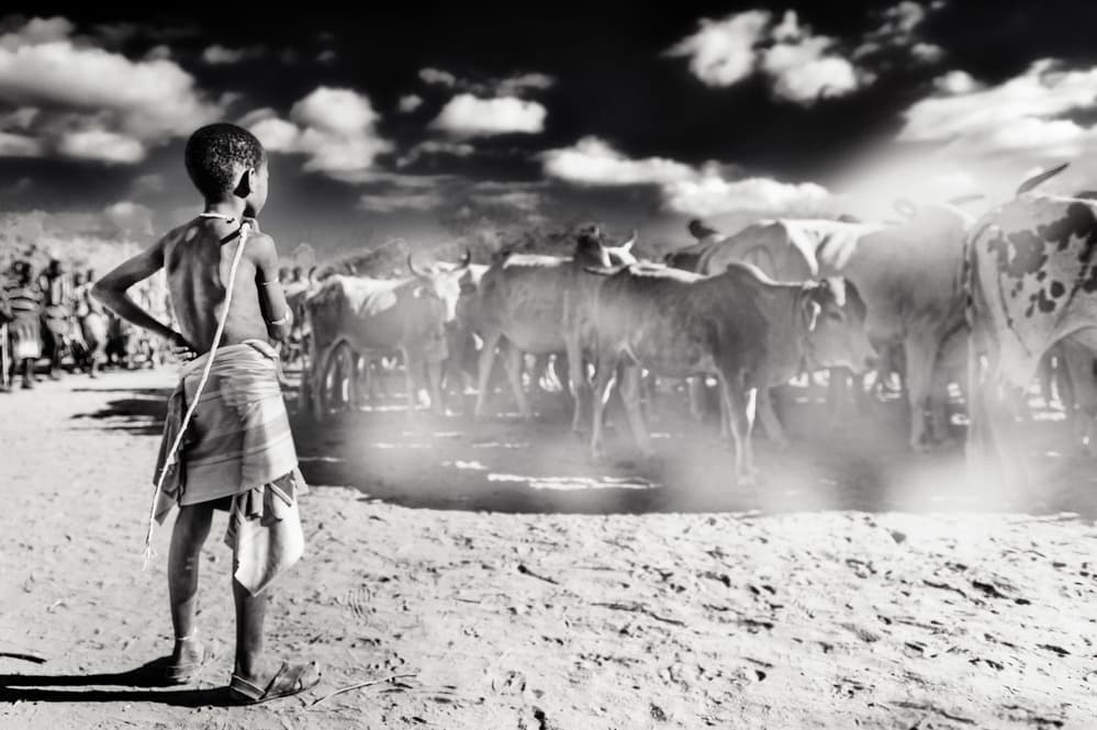 Young Boy Herding Cattle by Piet Flour — canvas wall art