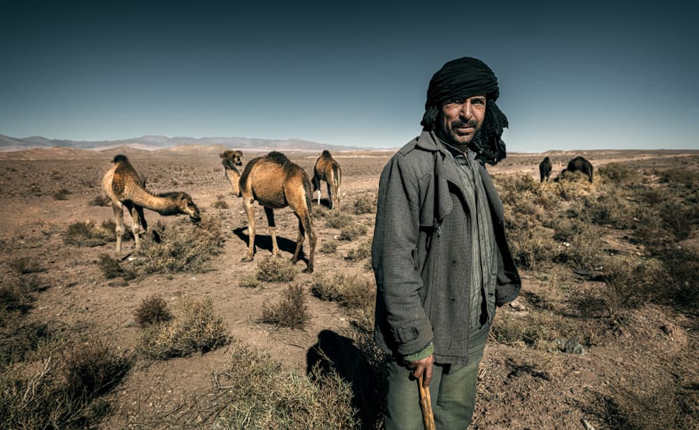 Desert Man and Camels by Waldemar Szmidt — canvas wall art