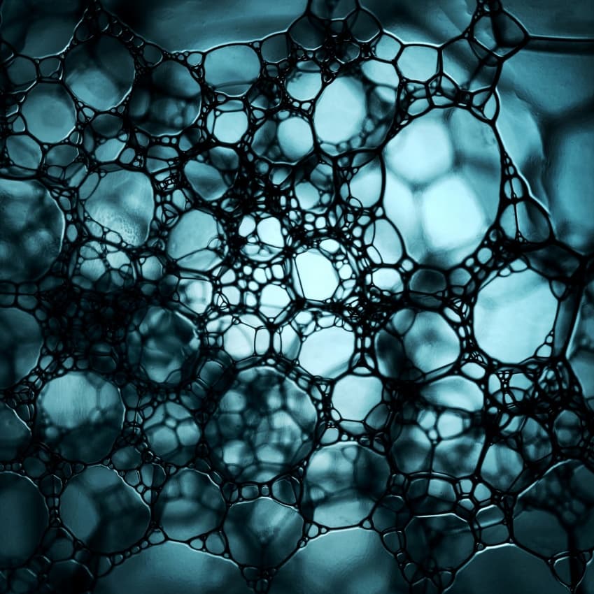 Fluid Teal Network by Niels Christian Wulff — canvas wall art