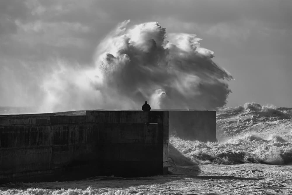 Observer of the Storm by Carlos Costa — canvas wall art