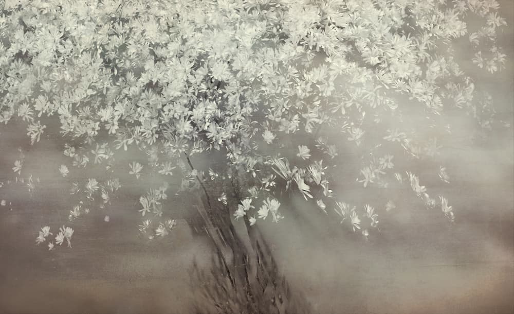 Stars of spring by Nel Talen — canvas wall art