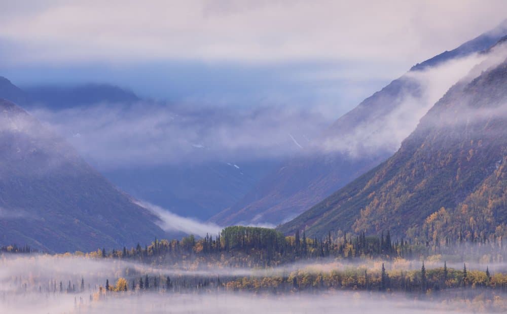 Misty Mountain Valley by Jennifer Zhao — canvas wall art