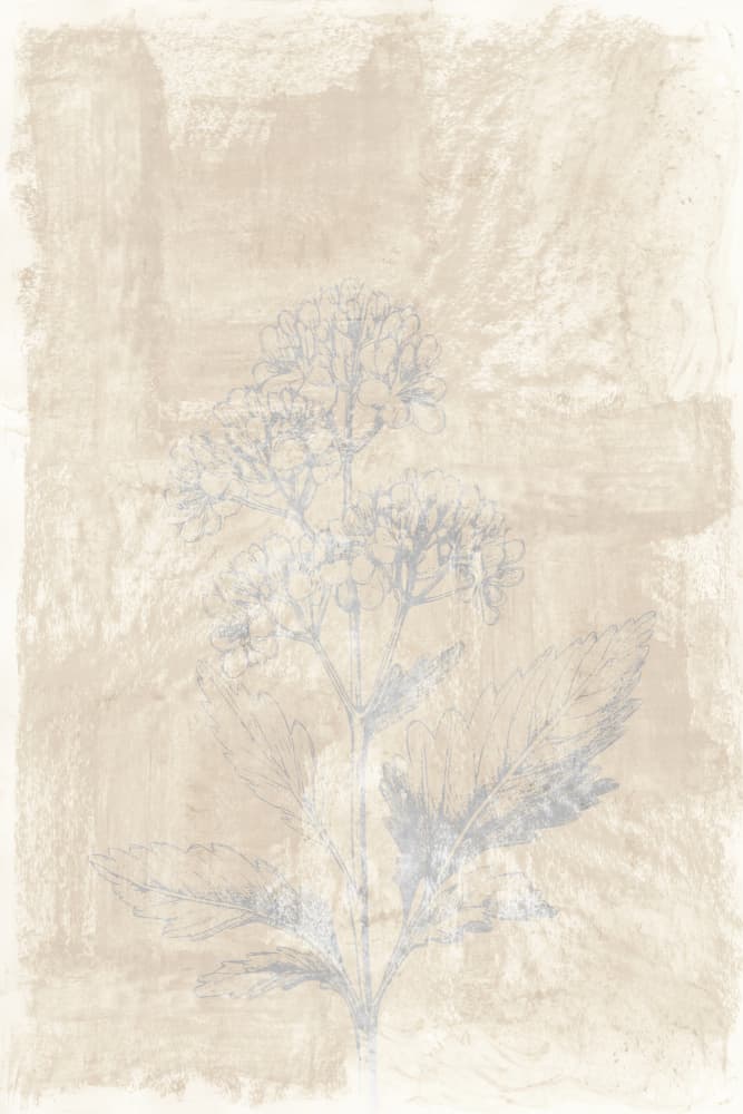 Faded Botanical Sketch by cartissi — canvas wall art