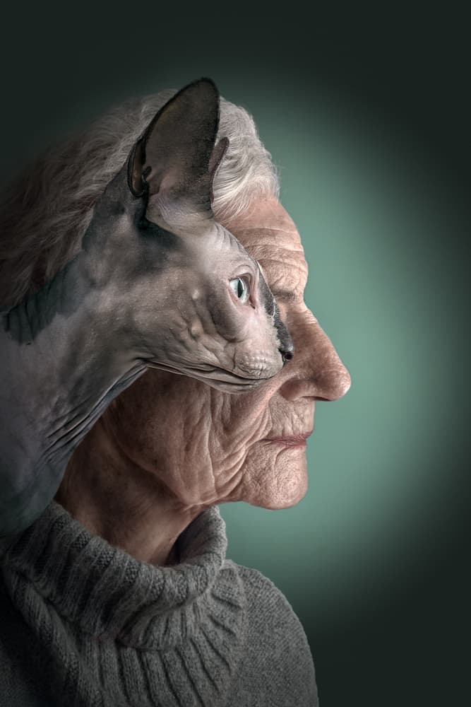 Sphynx and Woman Portrait by Marcel Egger — canvas wall art