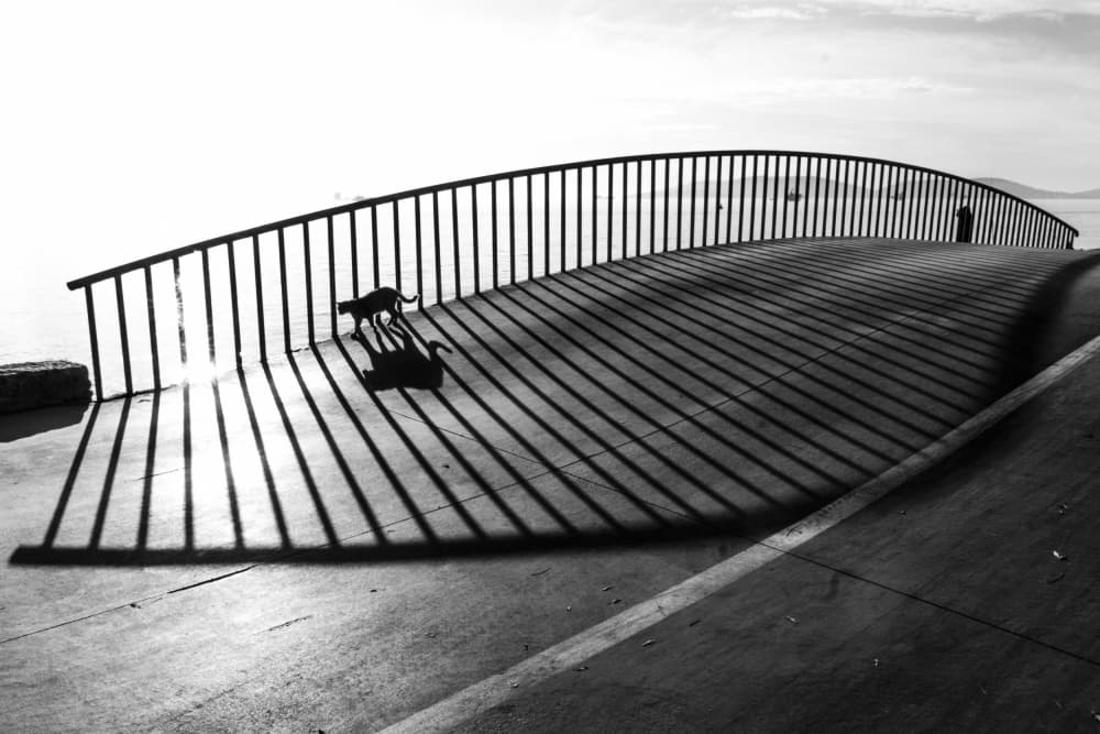 Cats and Shadows Bridge by Ramiz Sahin — canvas wall art