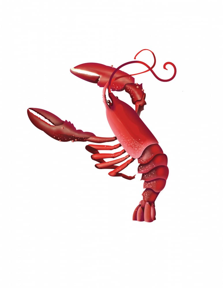 Vibrant Red Lobster by Nicholas — canvas wall art
