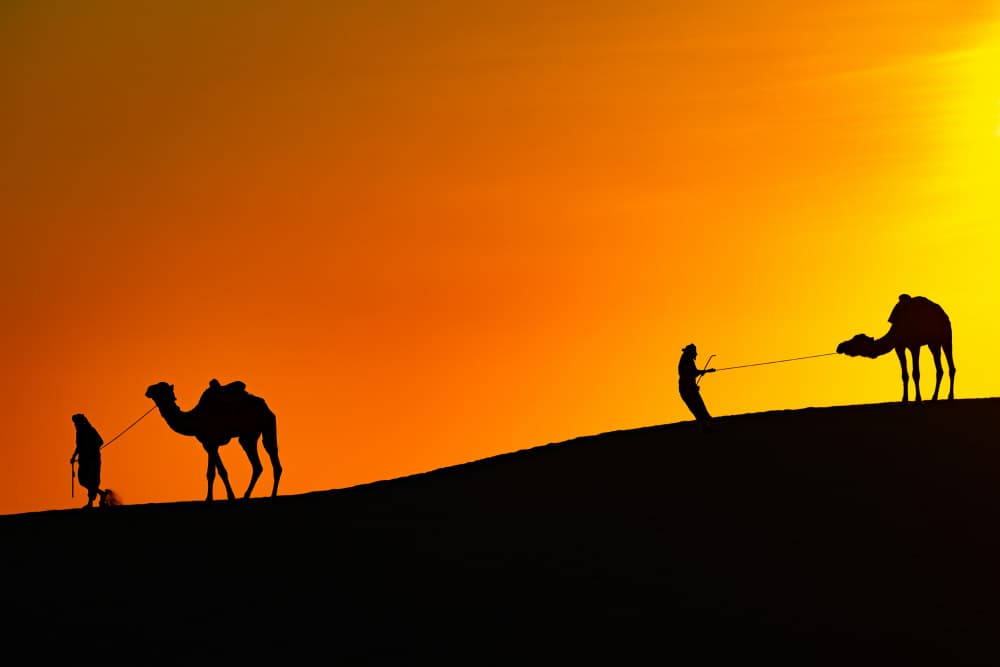 Desert Camel Journey by Adrian — canvas wall art