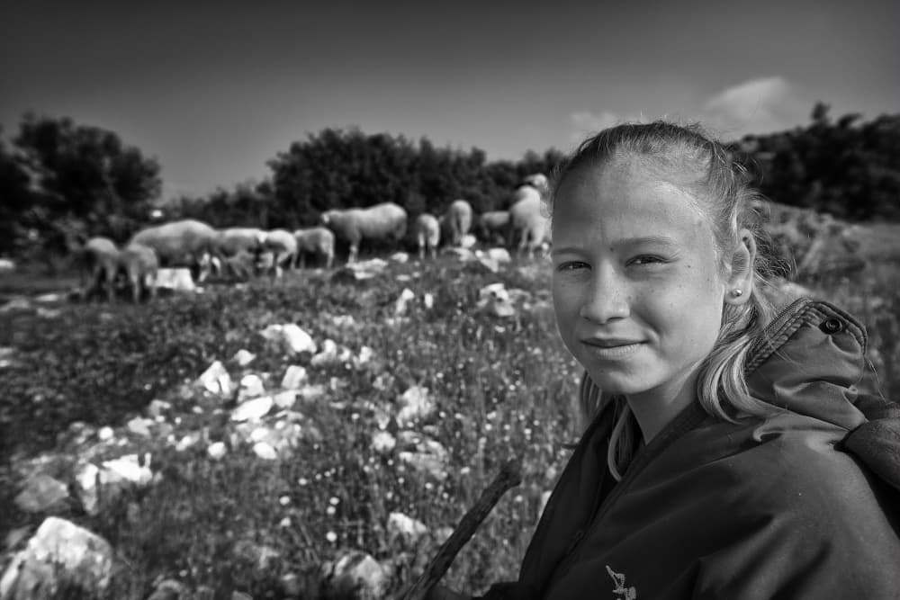 Country Girl and Sheep by Veli Aydogdu — canvas wall art