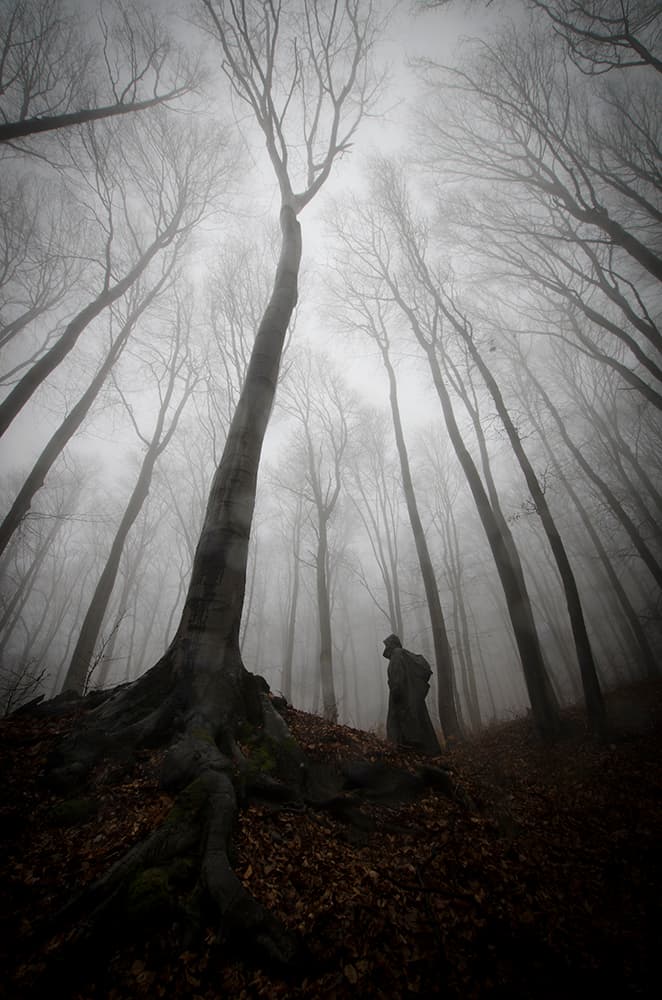 Mysterious Forest Wanderer by PhotoCosma — canvas wall art