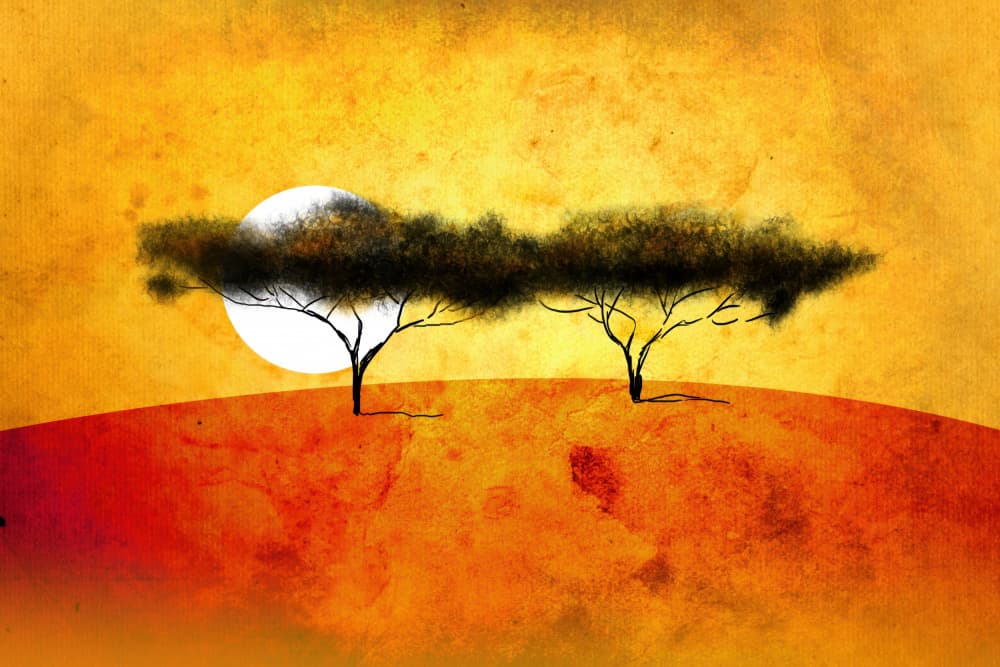 Two Trees Sunset by Rafal Kulik — canvas wall art