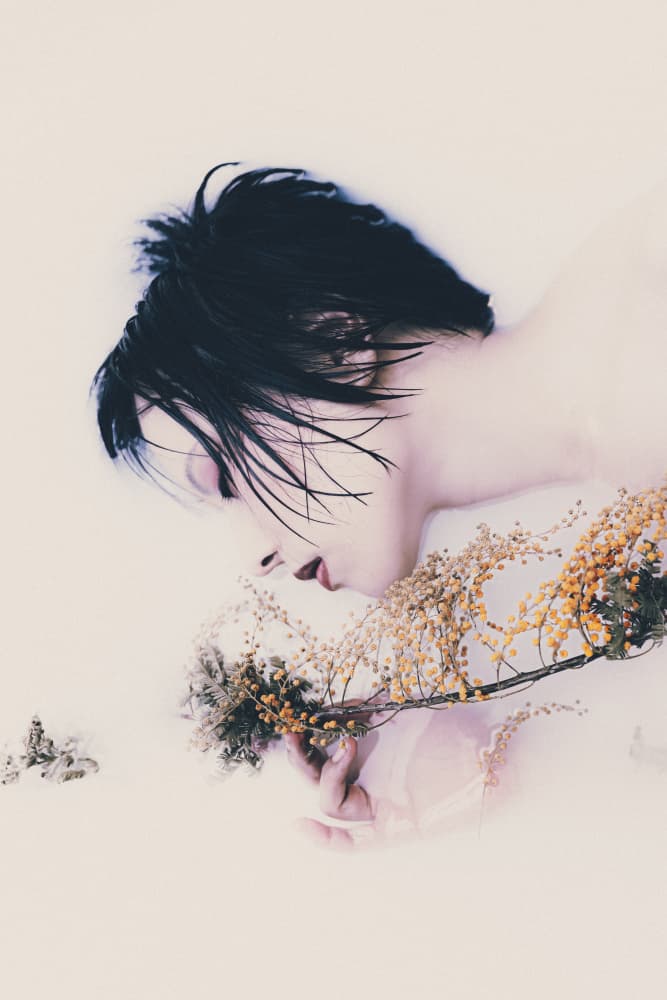 Serene Mimosa Bath by Kurosaki Sangan — canvas wall art