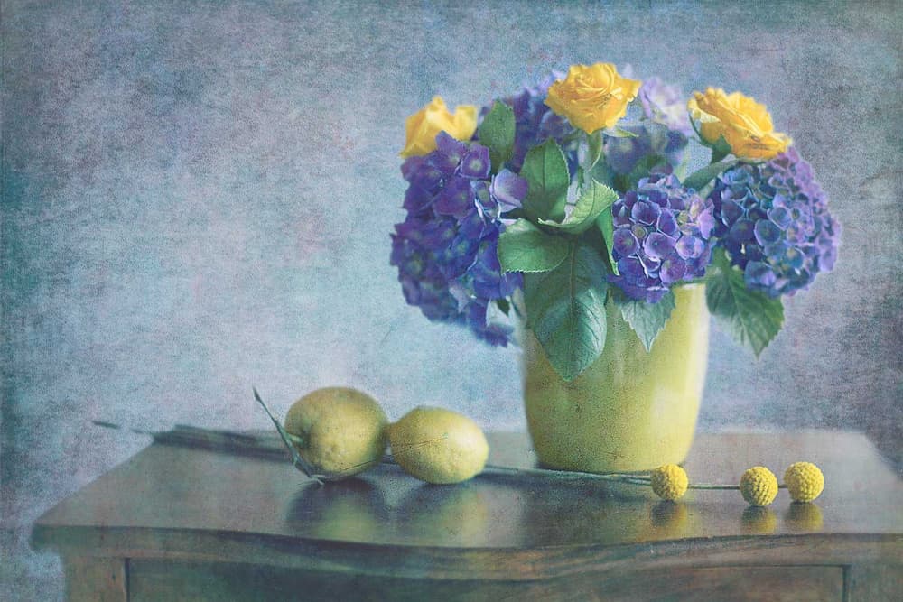 Purple Hydrangeas Yellow Roses by Antonella Renzulli — canvas wall art
