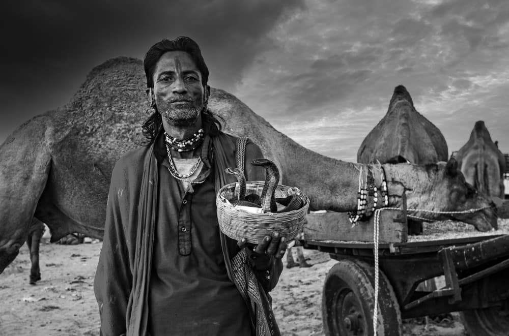 Snake Charmer and Camels by Rahul Wedpathak — canvas wall art