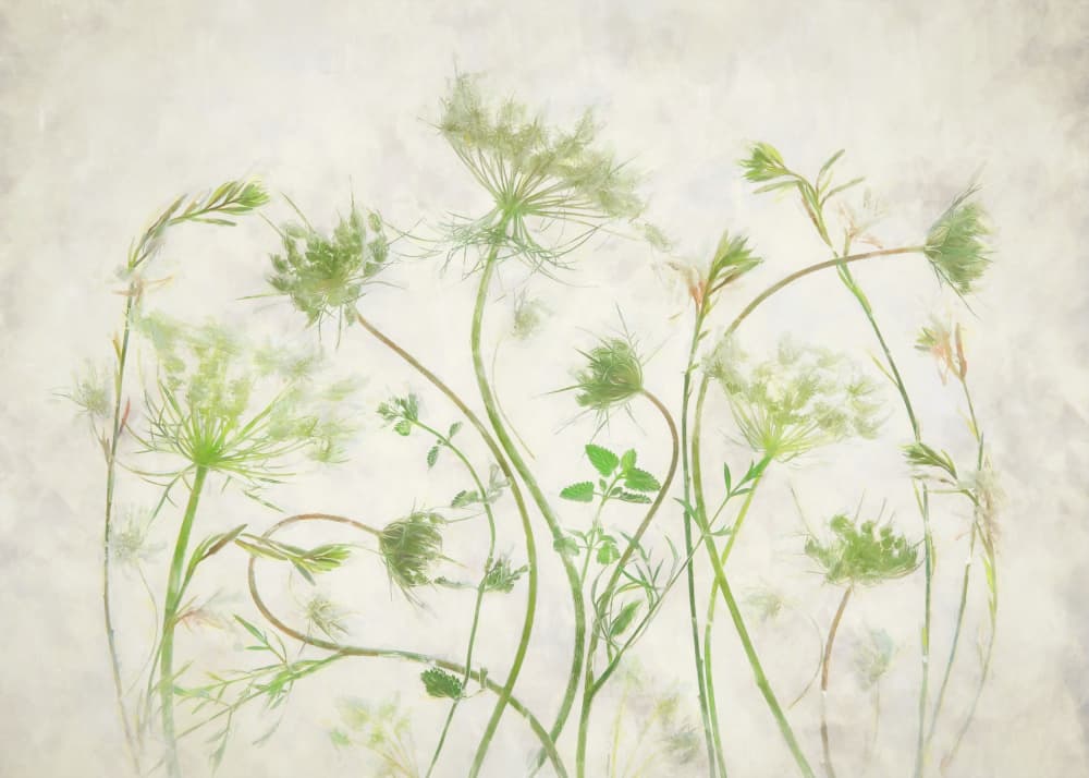 Soft Green Botanicals by Fangping Zhou — canvas wall art